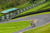 cadwell-no-limits-trackday;cadwell-park;cadwell-park-photographs;cadwell-trackday-photographs;enduro-digital-images;event-digital-images;eventdigitalimages;no-limits-trackdays;peter-wileman-photography;racing-digital-images;trackday-digital-images;trackday-photos